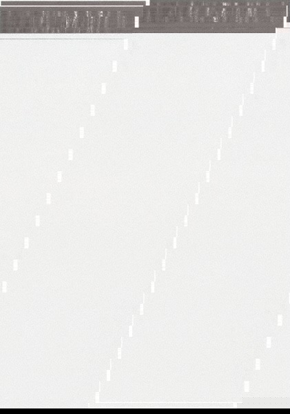 Courier Mailing Envelope: 14-1/2